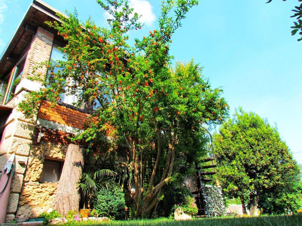 B&B La Piccionaia Verona Eksteriør billede